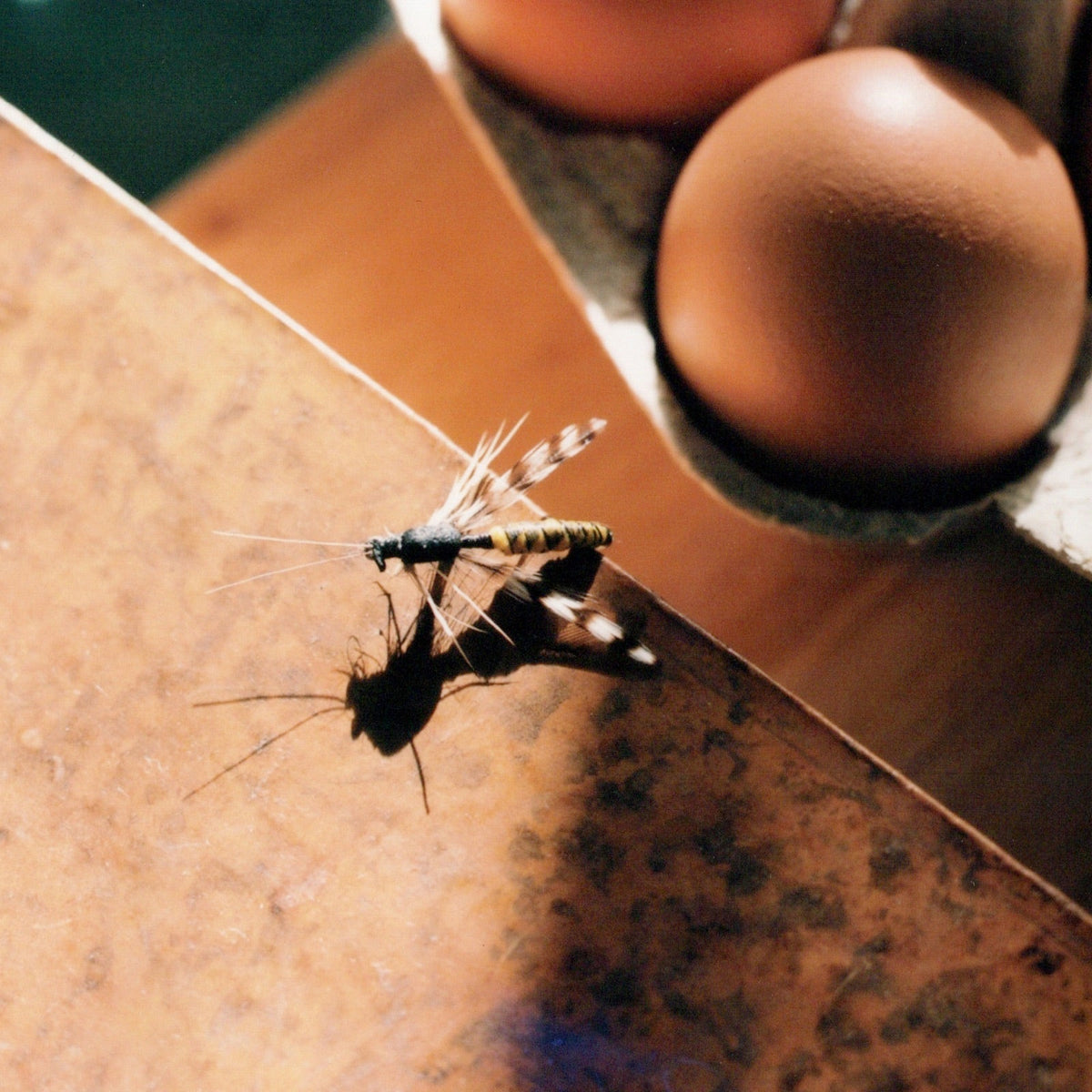 Halieutophilie