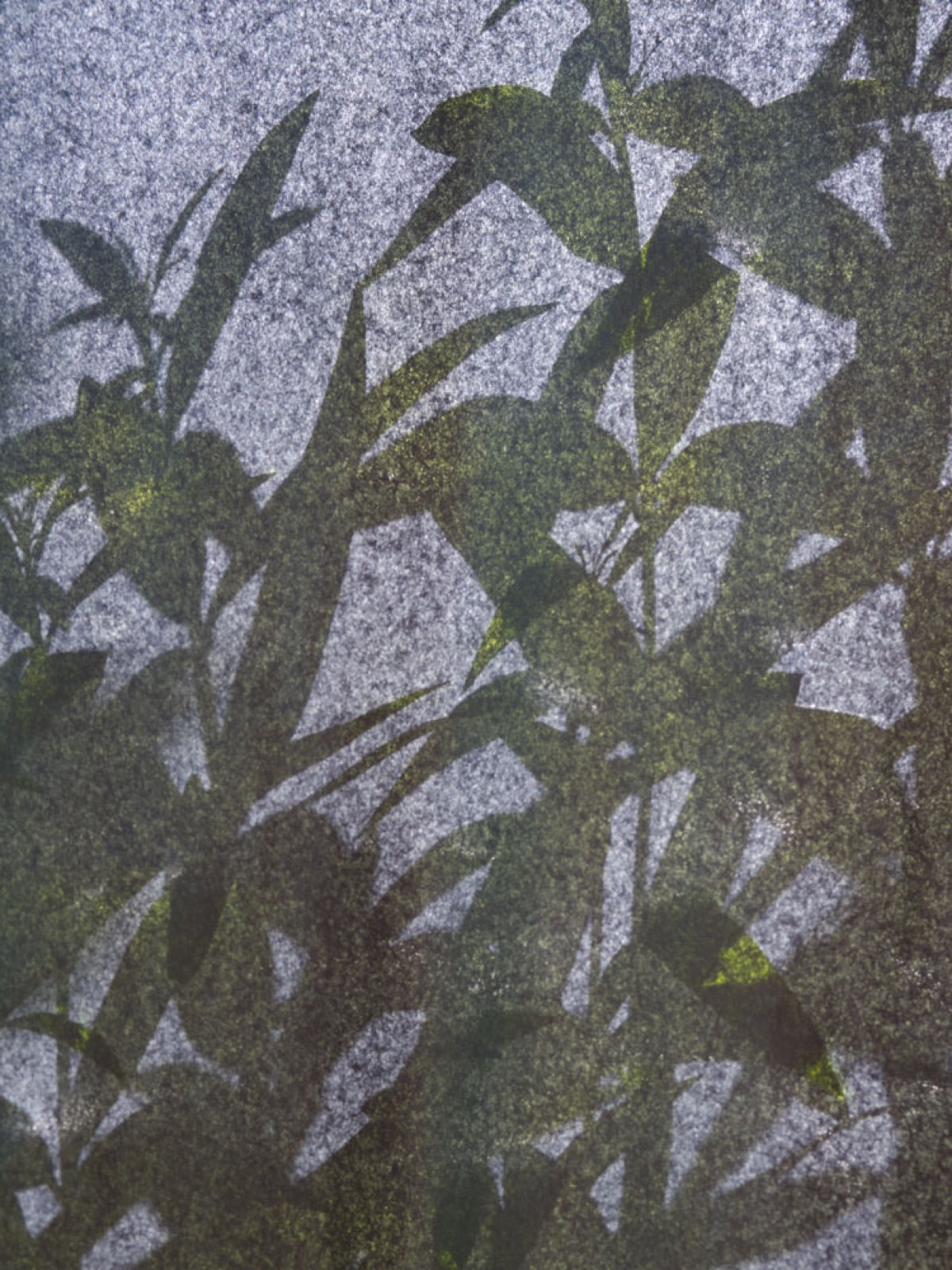 Le jardin de mon père
