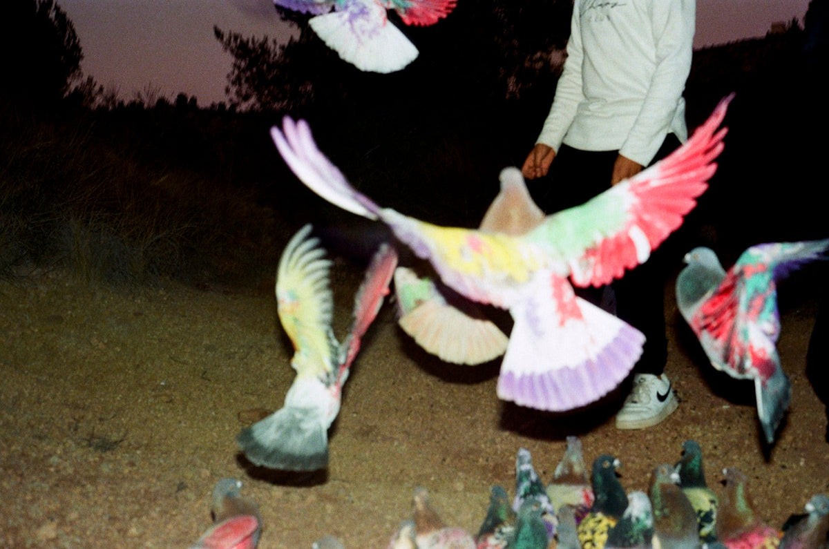 Les ailes du désir