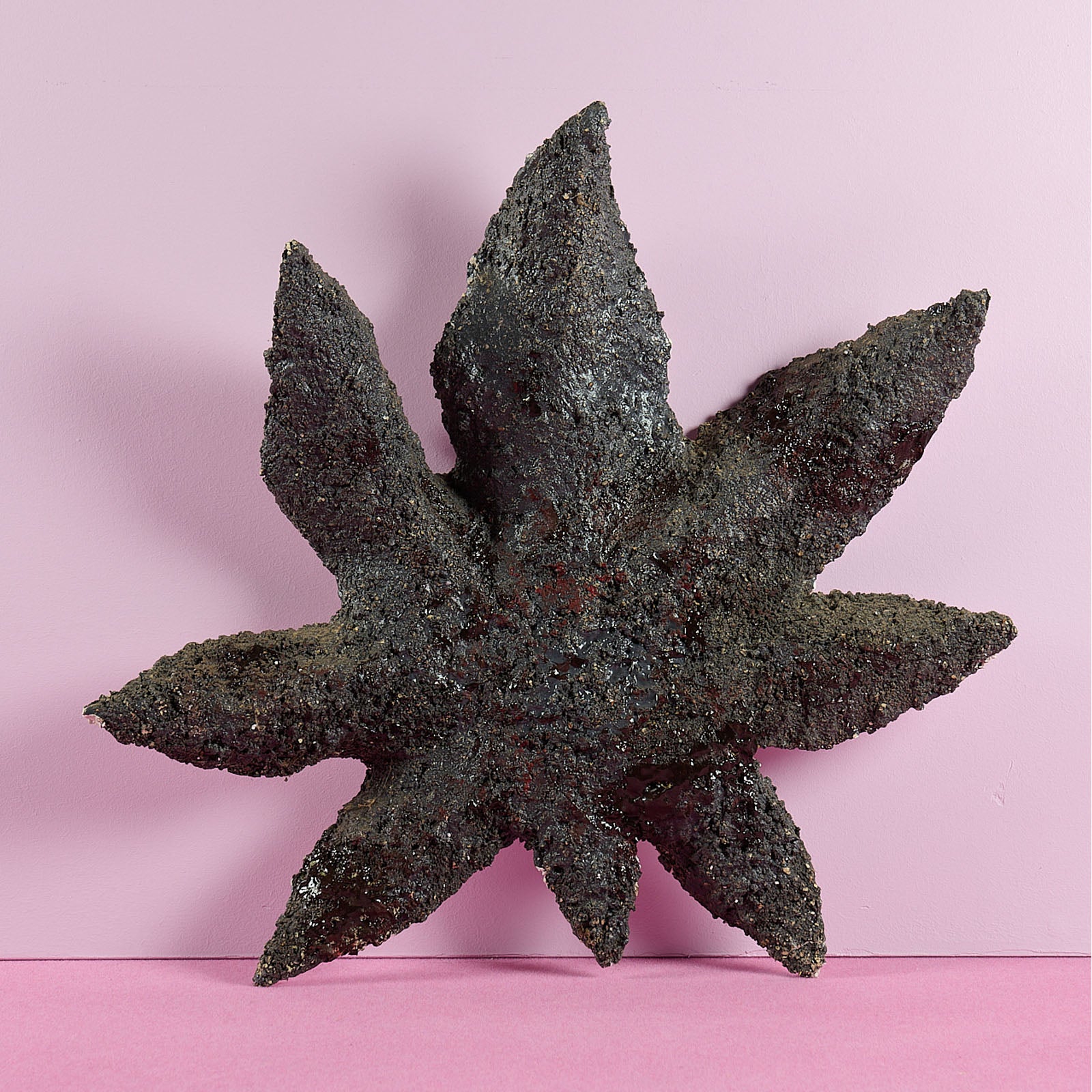 Bernard Hubault - Étoile